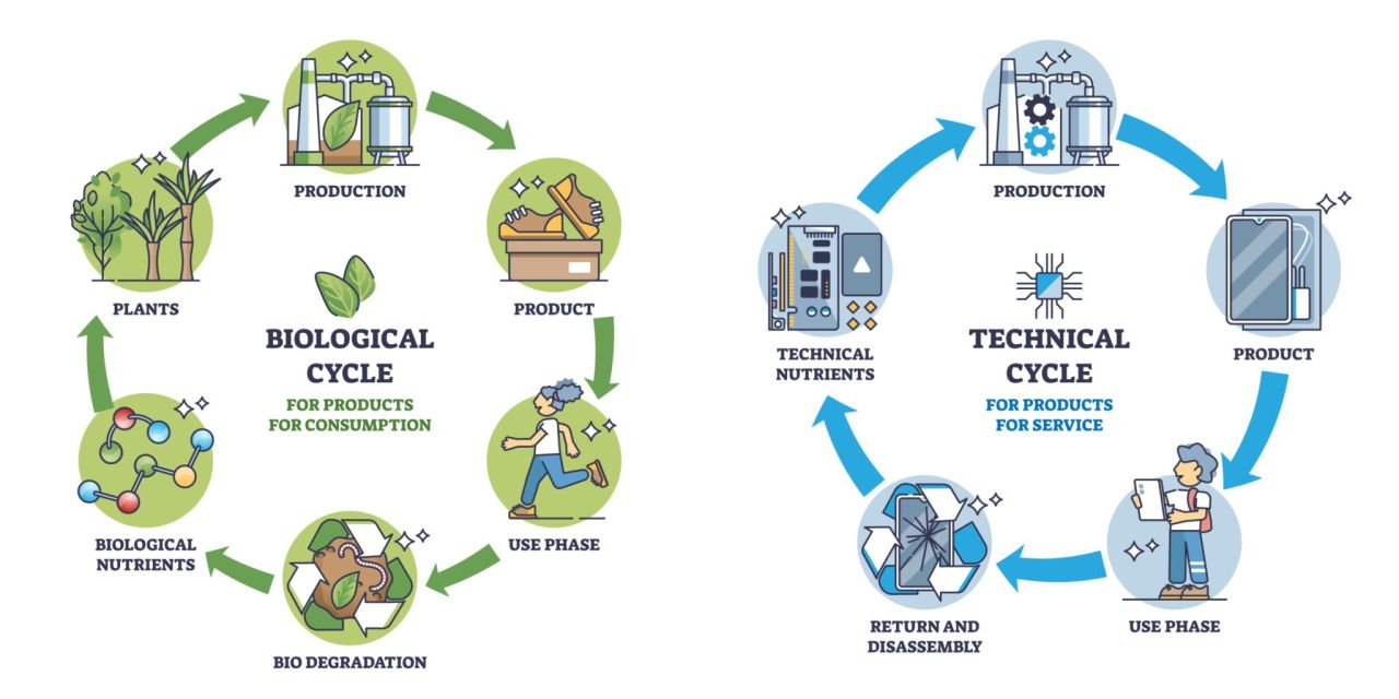 Graphic shows the cradle-to-cradle principle with two cycles: On the left, the biological cycle, where organic waste such as banana peels and cardboard boxes are converted into soil from which plants grow. On the right, the technical circuit, where electronic devices and metal parts are shredded and converted into new products. A green recycling arrow in the middle symbolizes the connection between the two cycles. The background is greenish on the left and bluish on the right